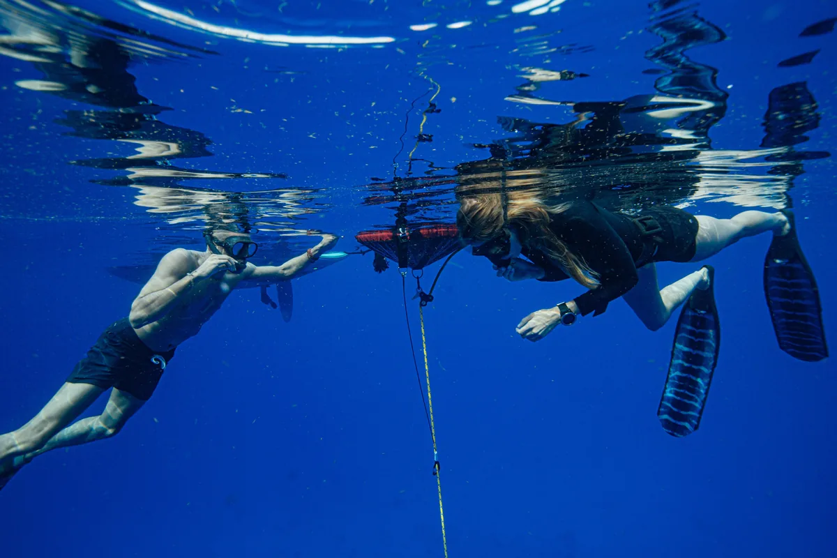 Free diving surface at Karukera by Odyssea Yachting